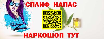 spice Кунгур