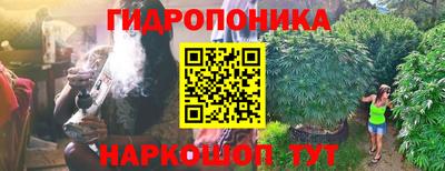 spice Кунгур