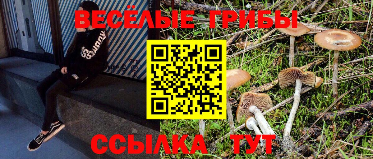 Галлюциногенные грибы GOLDEN TEACHER  Псилоцибиновые грибы прущие грибы  Избербаш  Вход с VPN 